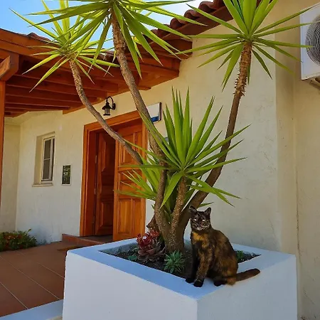 Cedrus Villa *