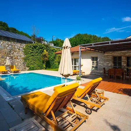 Cedrus Villa Akyaka (Mugla)