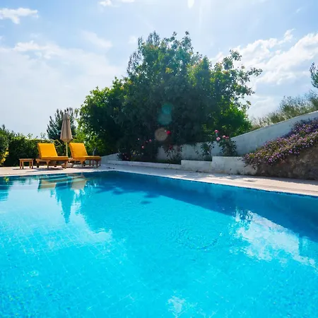 Cedrus Villa